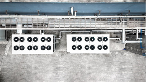 谷輪創新技術賦能中國菌菇種植產業，推動能效升級與可持續進步