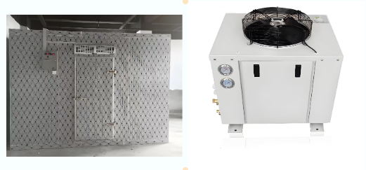 20260226789051.png 變頻“芯”動力:解鎖冷鏈節能與精準溫控新紀元