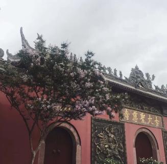 TOP1体育：助力公益活动建设，实现经济效益与社会效益的双赢！